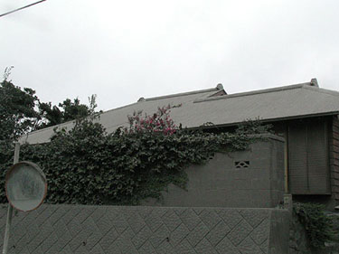P1010036