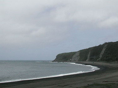 P1010051