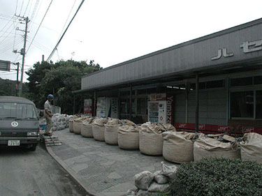 P1010067