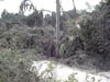 DSCF0010