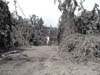 DSCF0015