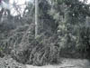 P1010022