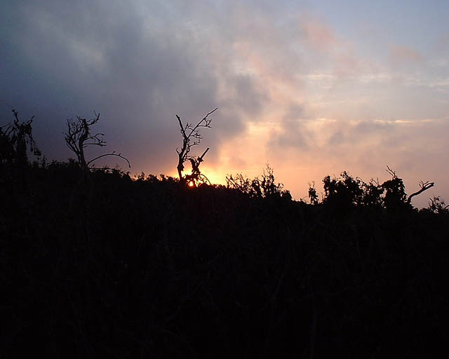 DSCF0004