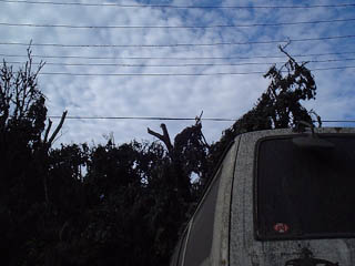 DSCF0011
