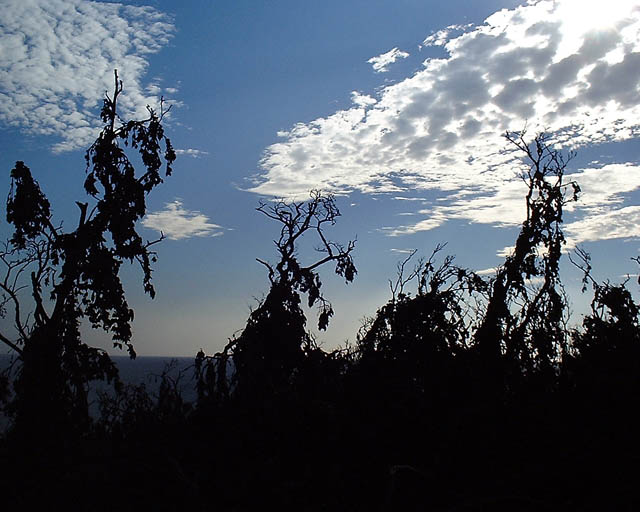 DSCF0012