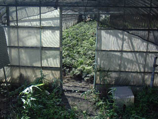 DSCF0021