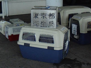 DSCF0032