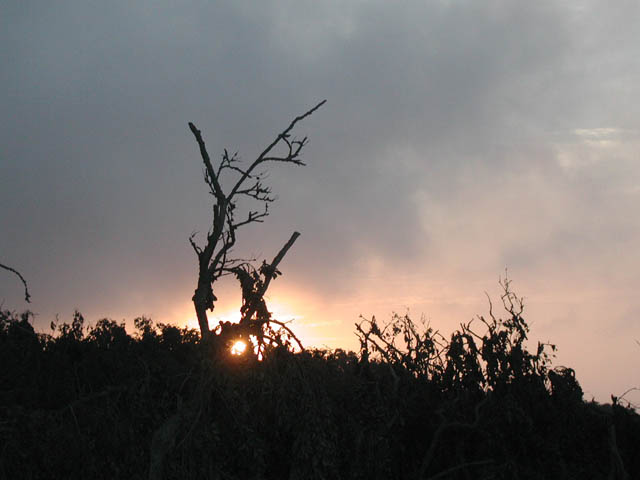 P1010002