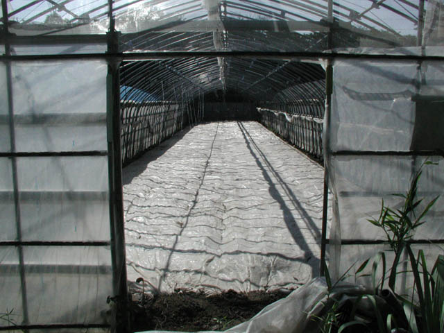 P1010018