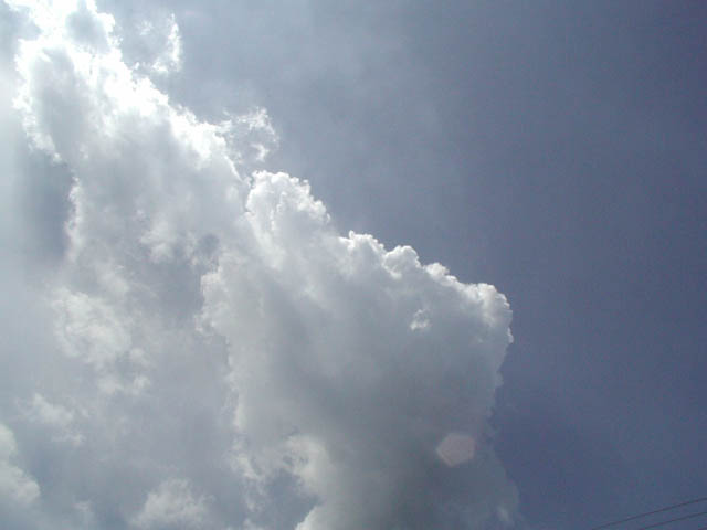 P1010026