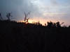 DSCF0001
