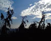 DSCF0012