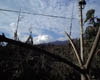 DSCF0013
