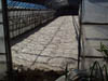 DSCF0020