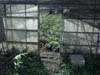 DSCF0021